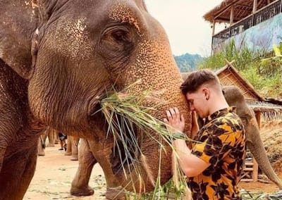 Sanctuaire des éléphants de Phuket