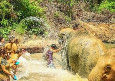 Elephant Sanctuary Phuket